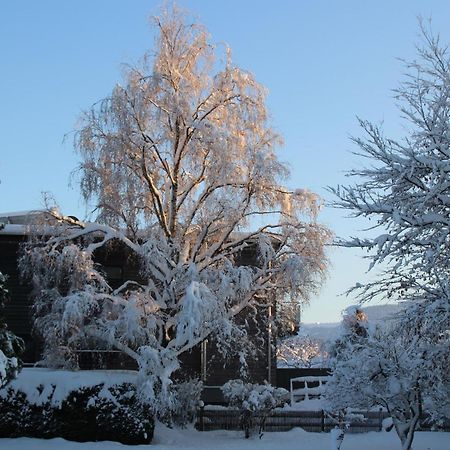 Ferienwohnung Dahoam Angerberg  Екстериор снимка